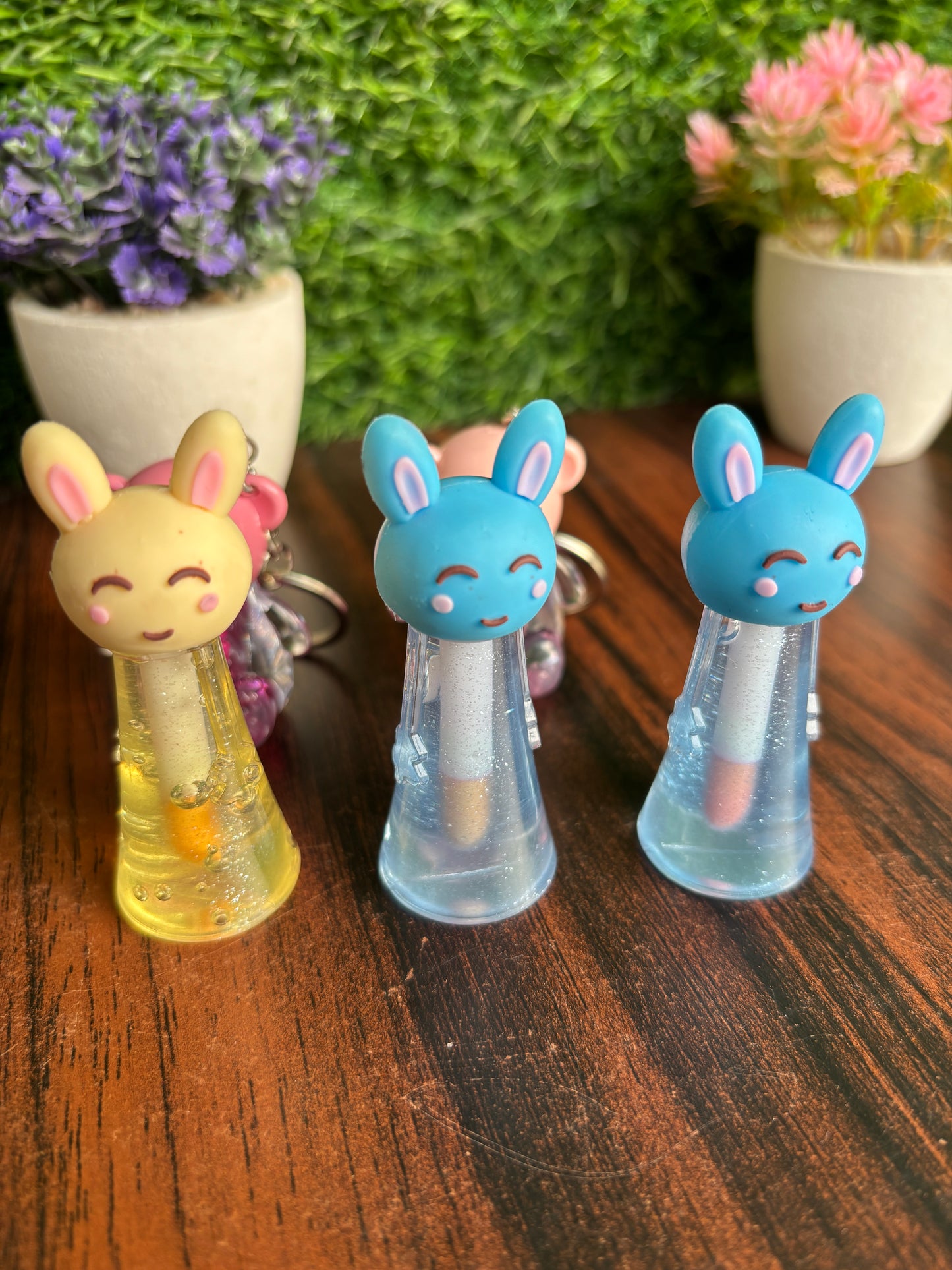Kawaii Lip Glosses